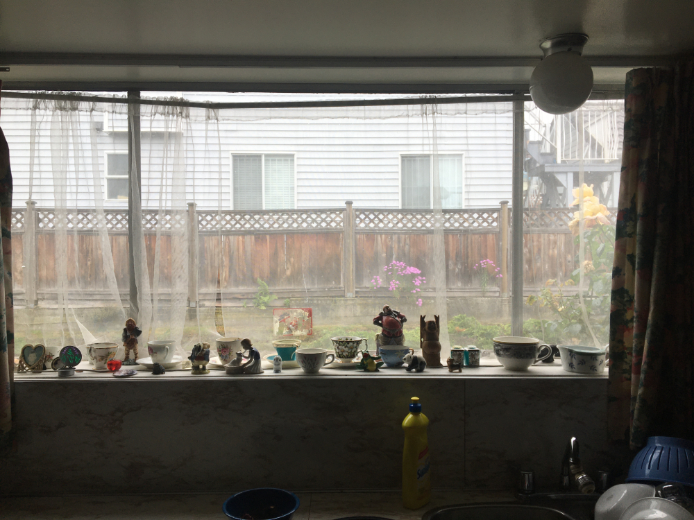 WindowViewBackyard.jpeg