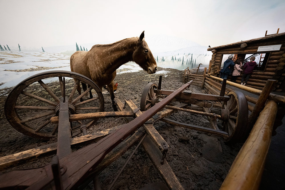 851px version of HorseRoyalBCMuseum.jpg