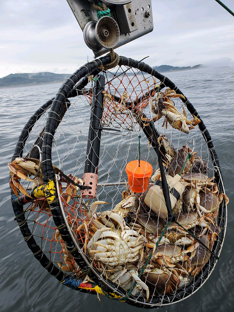582px version of CrabPotSensorsNet.jpg