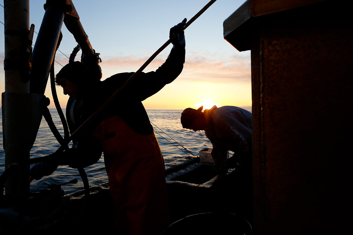 851px version of CrewSilhouetteRefillingBaitBoxes.jpg
