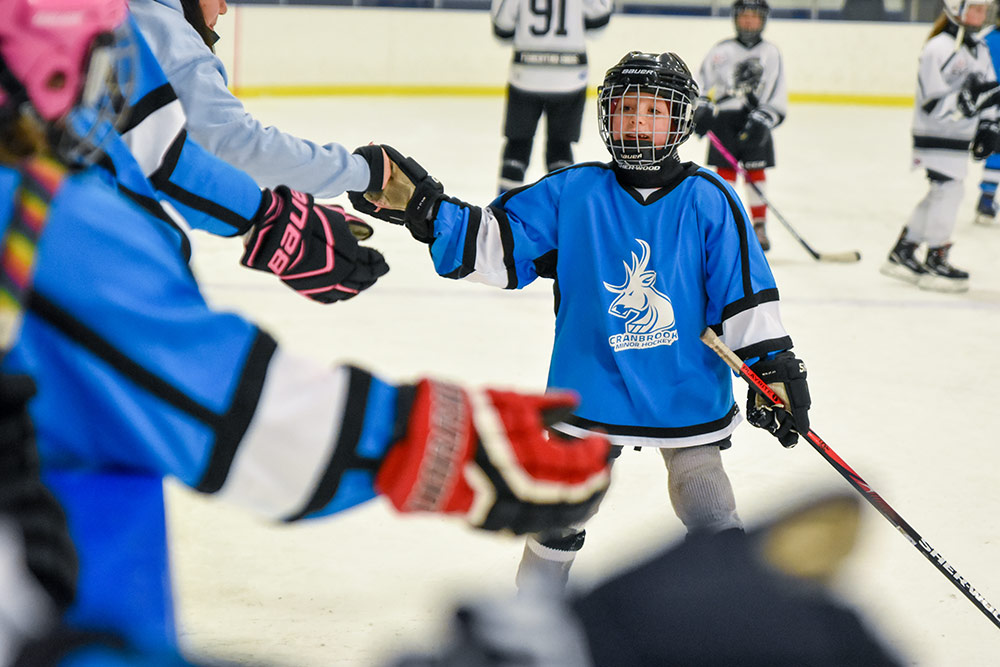 960px version of GirlsMinorHockeyPostGameHandshakes.jpg