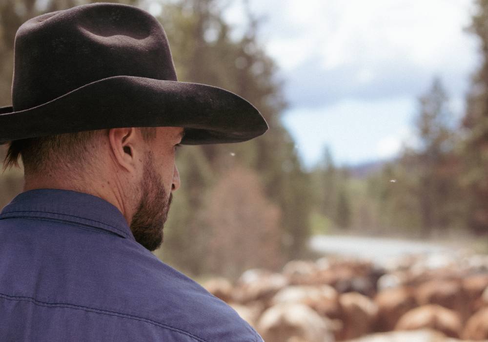 The side profile of a cowboy, Alex Calmets, as he watches the procession of cows march up the road. 