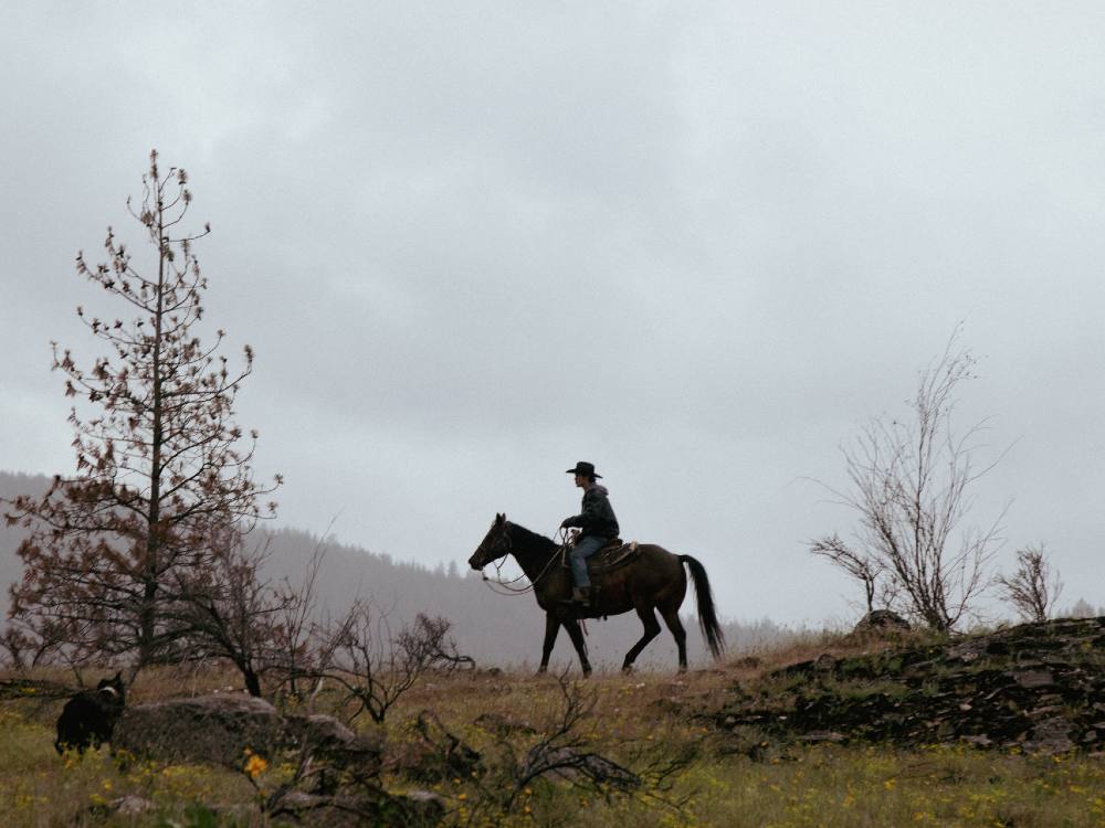 Elijah Swan-Hall, slouching forward on his black horse, walks across the ridge of a hill, the grey, foggy sky frames his dark silhouette. 