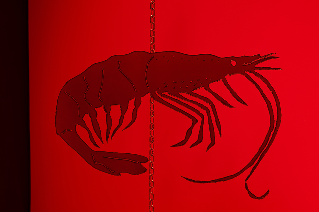 Two stacked photos of crustacean art installations part of Vanessa Brown&rsquo;s That Other Hunger. The die-cut creatures hang against a red lit wall.