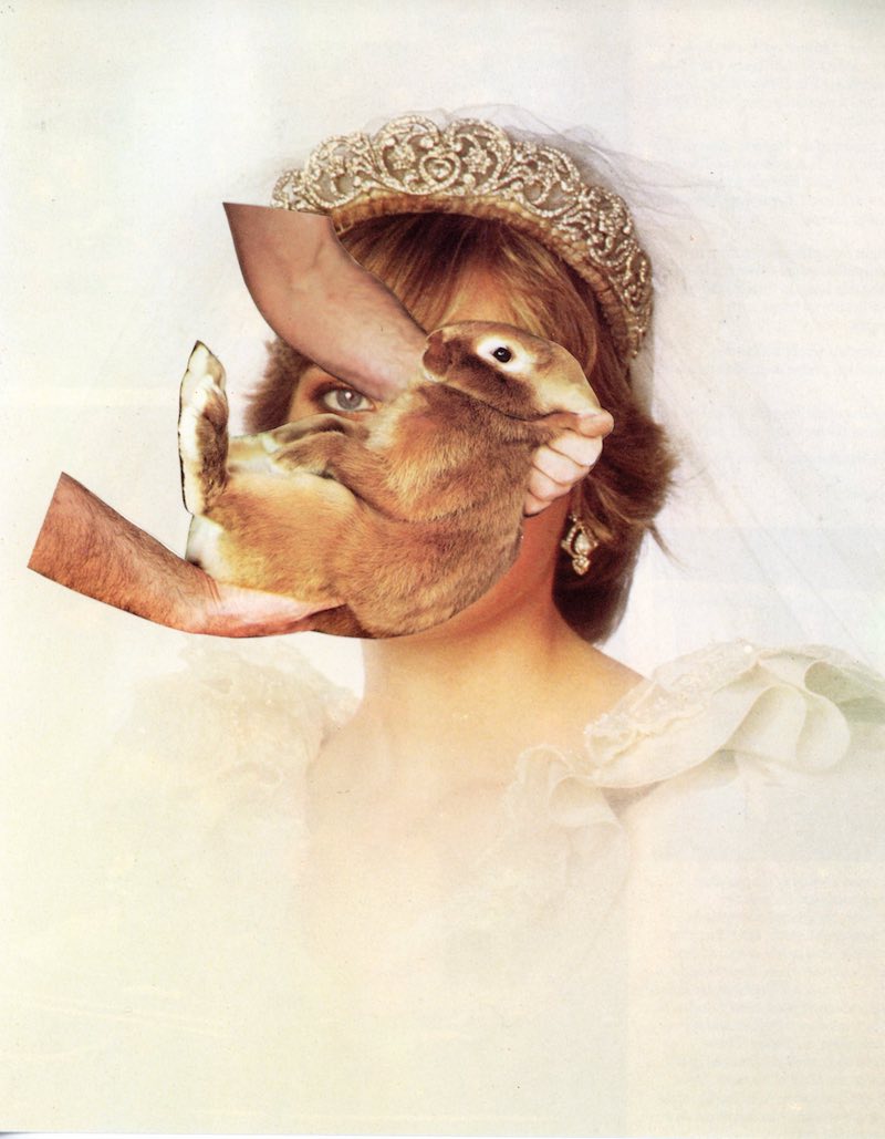 A portrait of Princess Diana against a white background is interrupted by two hands holding a brown rabbit across her face.