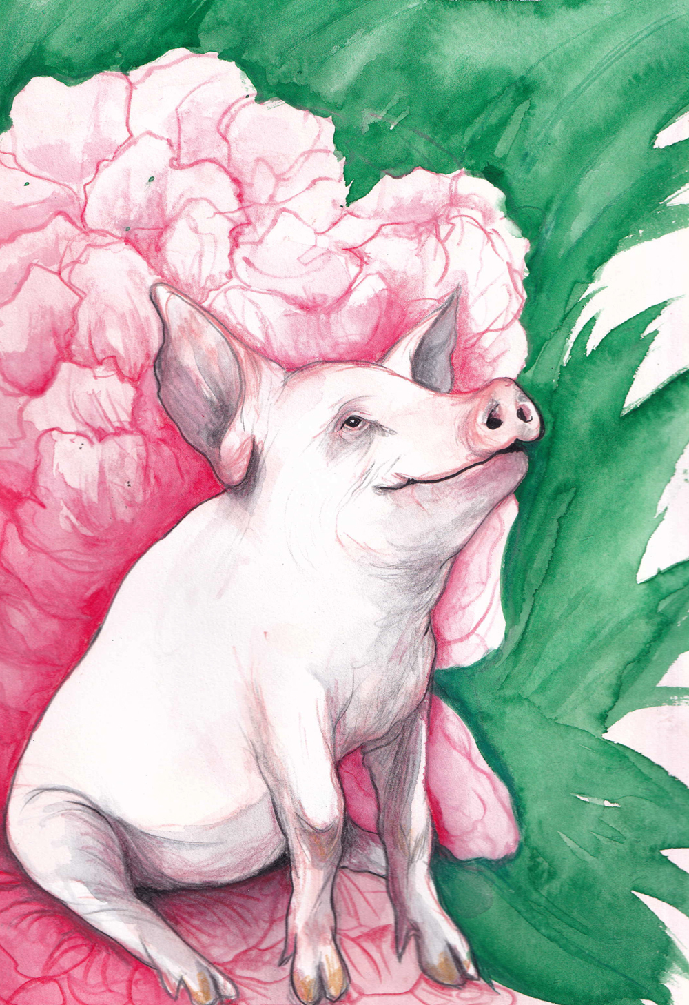 A watercolour painting of a pink pig sitting among vibrant pink roses and green leaves.
