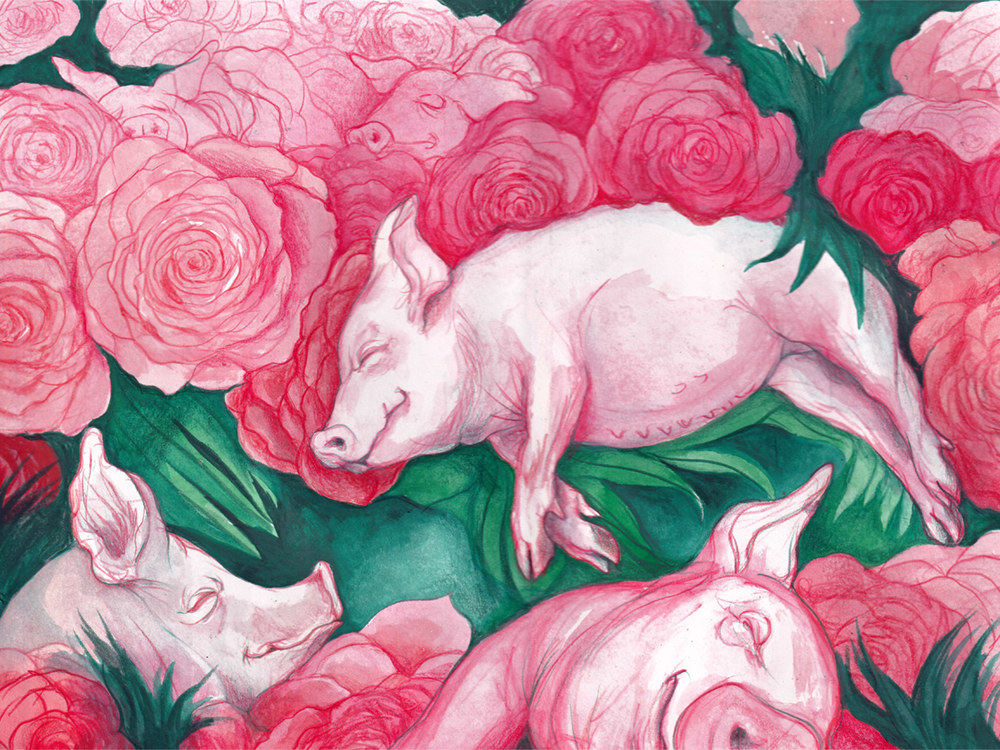 A watercolour painting of three pink pigs napping among vibrant green leaves and roses. Look closely at the roses towards the top left of the frame, and two small additional sleeping pigs are visible.