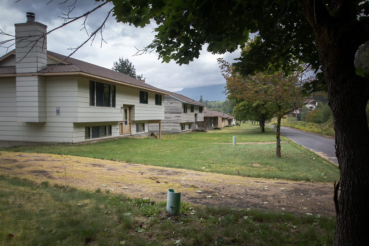 Houses with faded siding and large maple trees line a street. The driveways are covered in moss.