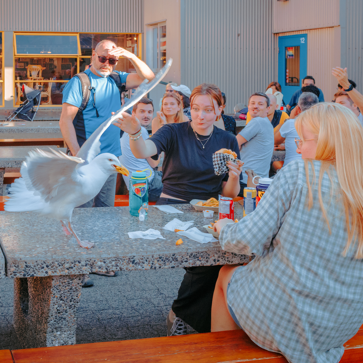A gull grabs a french fry at a picnic table outside as diners look on in amusement and shock.