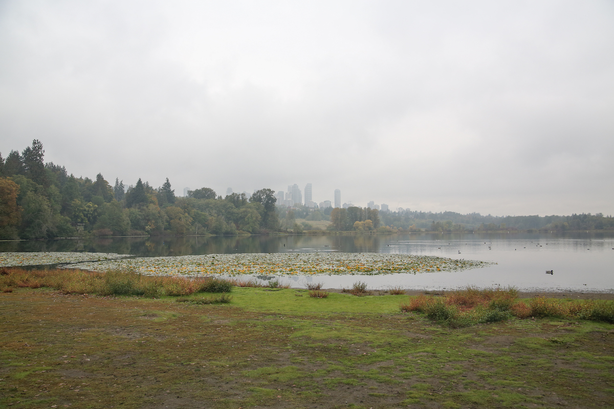 A foggy day over Deer Lake, with condo towers rising over a hill in the background.