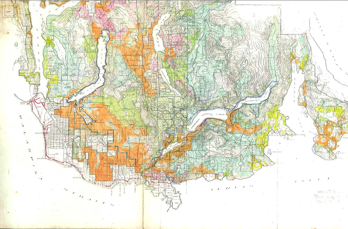 An old colour-coded map shows the results of a forestry survey. Much of the area&rsquo;s easily accessible timber has been harvested or burned.