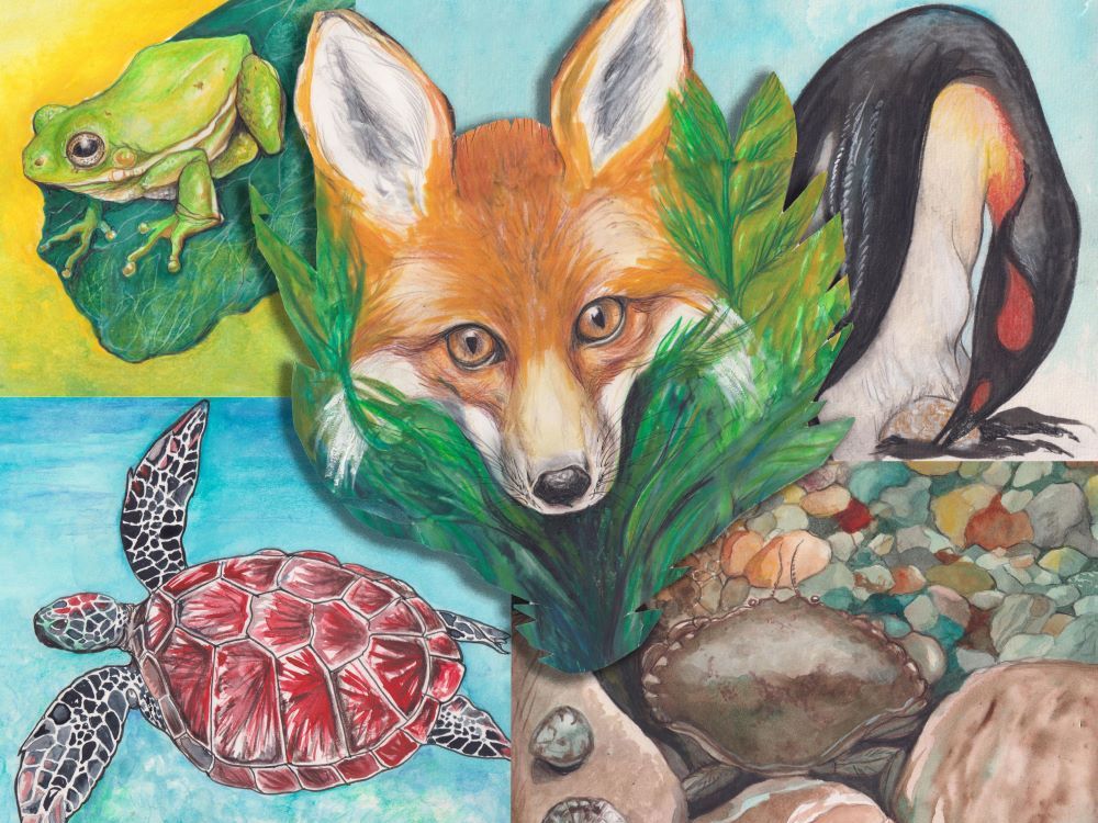 A four-panel mosaic featuring watercolour illustrations of a penguin, a toad, a frog and a crab. In the middle is the face of a fox against green foliage.