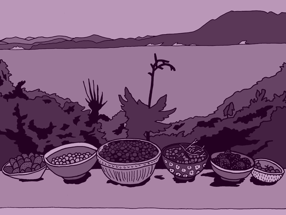 A black and white illustration with a berry-purple overlay. Bowls of berries are on a deck railing, with the ocean in the background in the near distance.