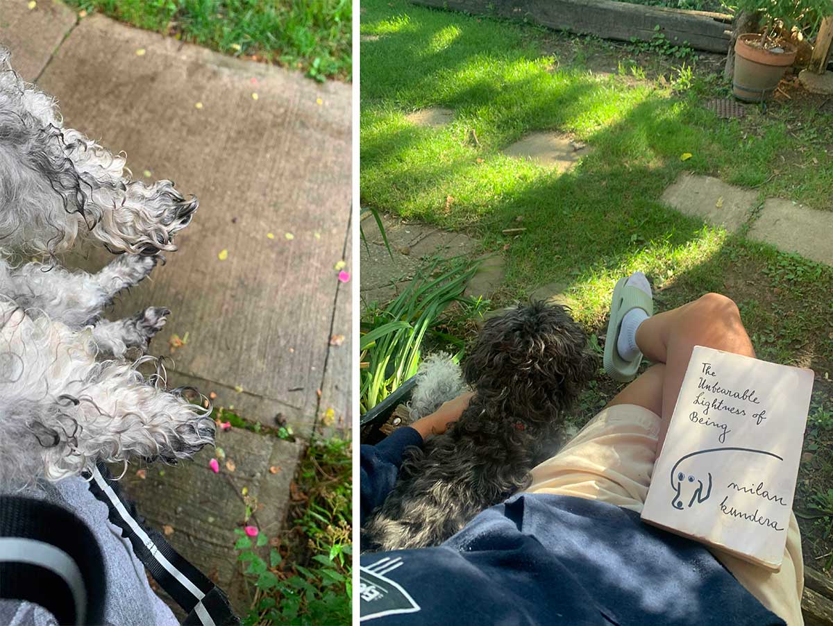 Two photos side by side. At left, wet paws and coiled fur of Dixie, held above a sidewalk. At right, the author from the torso down, sitting on a bench, legs crossed, with &lsquo;The Unbearable Lightness of Bearing&rsquo; on her lap. At left, she is scratching the neck of Dixie, lying by her side. They are surrounded by green grass and plants.