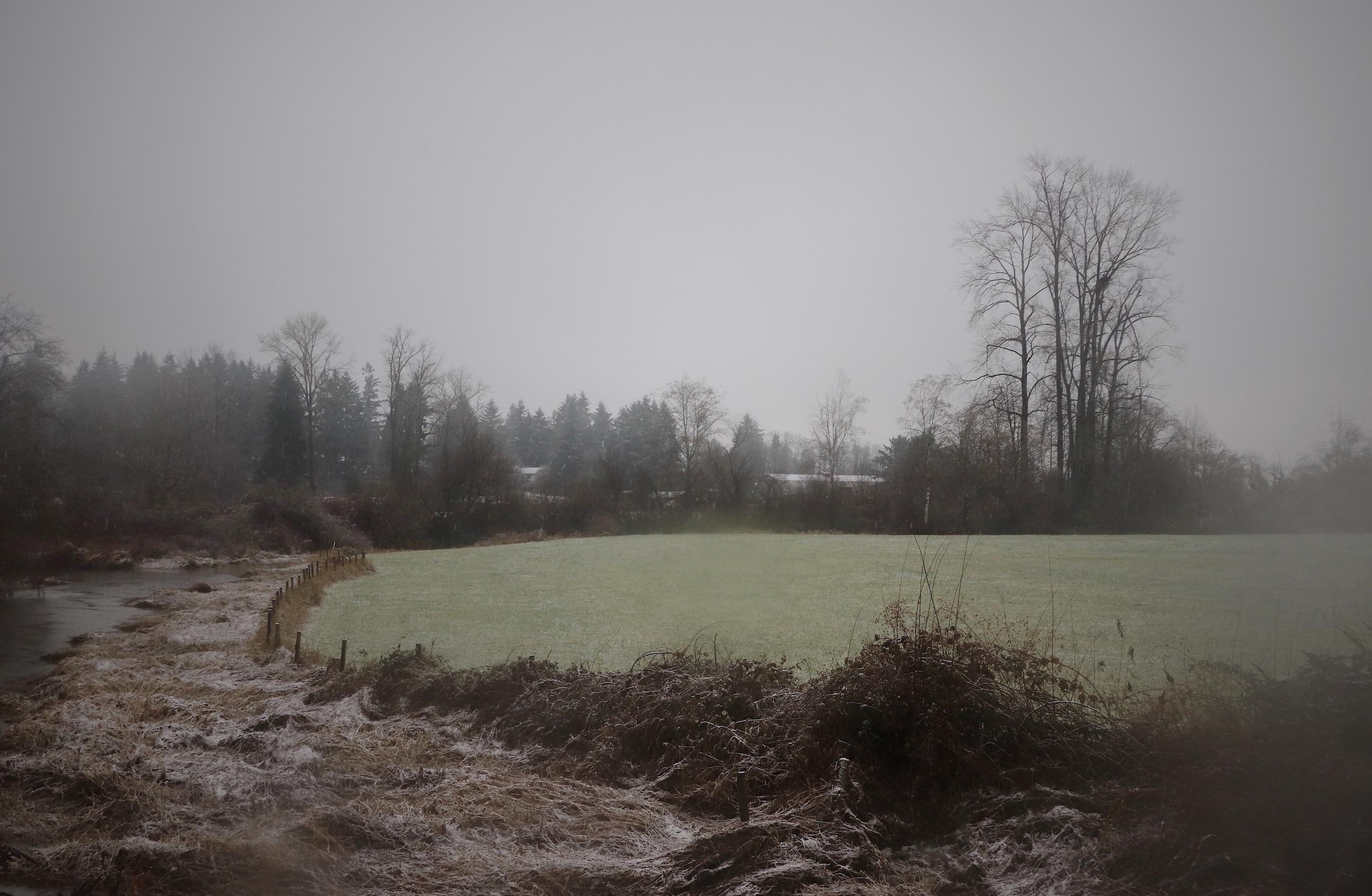 A photograph of the wetlands in Fort Langley on a foggy day. Trees line the horizon and a green field to the right of the frame gives way to a brown marsh and creek to the left.