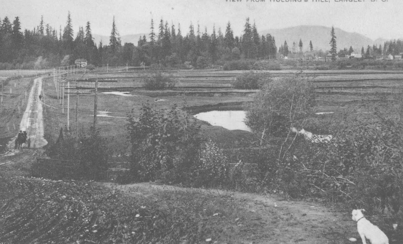 An archival photograph of the wetlands known as the Salmon River Flats in Langley in 1903. A white dog is sitting in the bottom right corner of the frame.