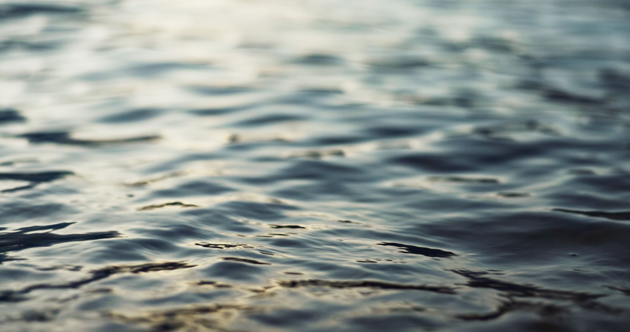 A close-up photograph of a body of water in low light. The water is light blue and grey with golden ripples, reflecting the sky.