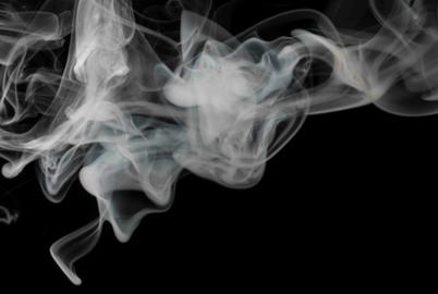 Here’s an Inconvenient Truth: Disease Is in the Air