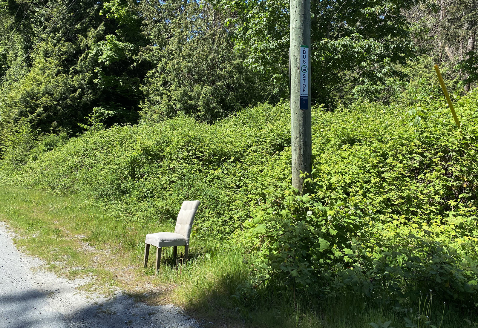 A chair with wooden legs, covered in tan fabric, is positioned between the road and a hydro pole that has a bus stop sign on it.