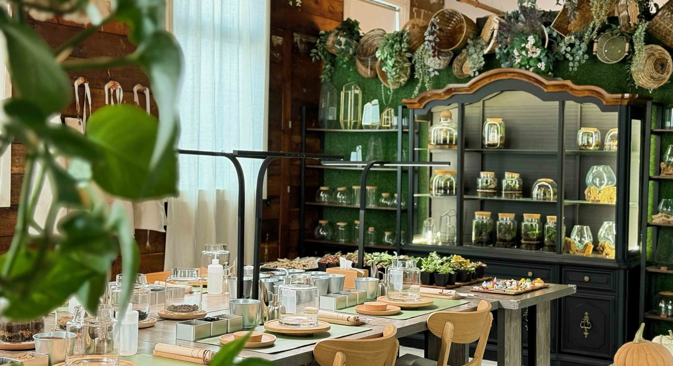 The interior of Oasis Studio, a terrarium-making studio in Vancouver. A lush interior space features green leaves in the foreground, a green wooden shelf of plants and terrariums and a long table set with terrarium-making equipment.