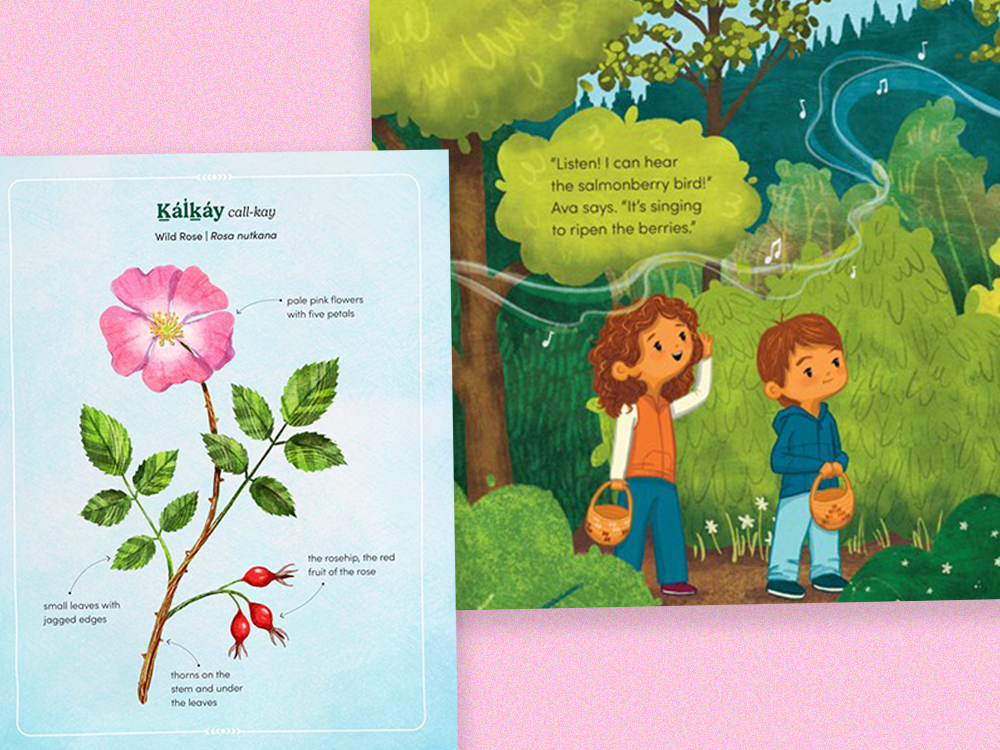 Two excerpts. On the left, an illustrated diagram of a wild rose with its Squamish name and other details included. On the right, two children are in the forest. ‘Listen! I can hear the salmonberry bird!’ Ava says. ‘It’s singing to ripen the berries.’