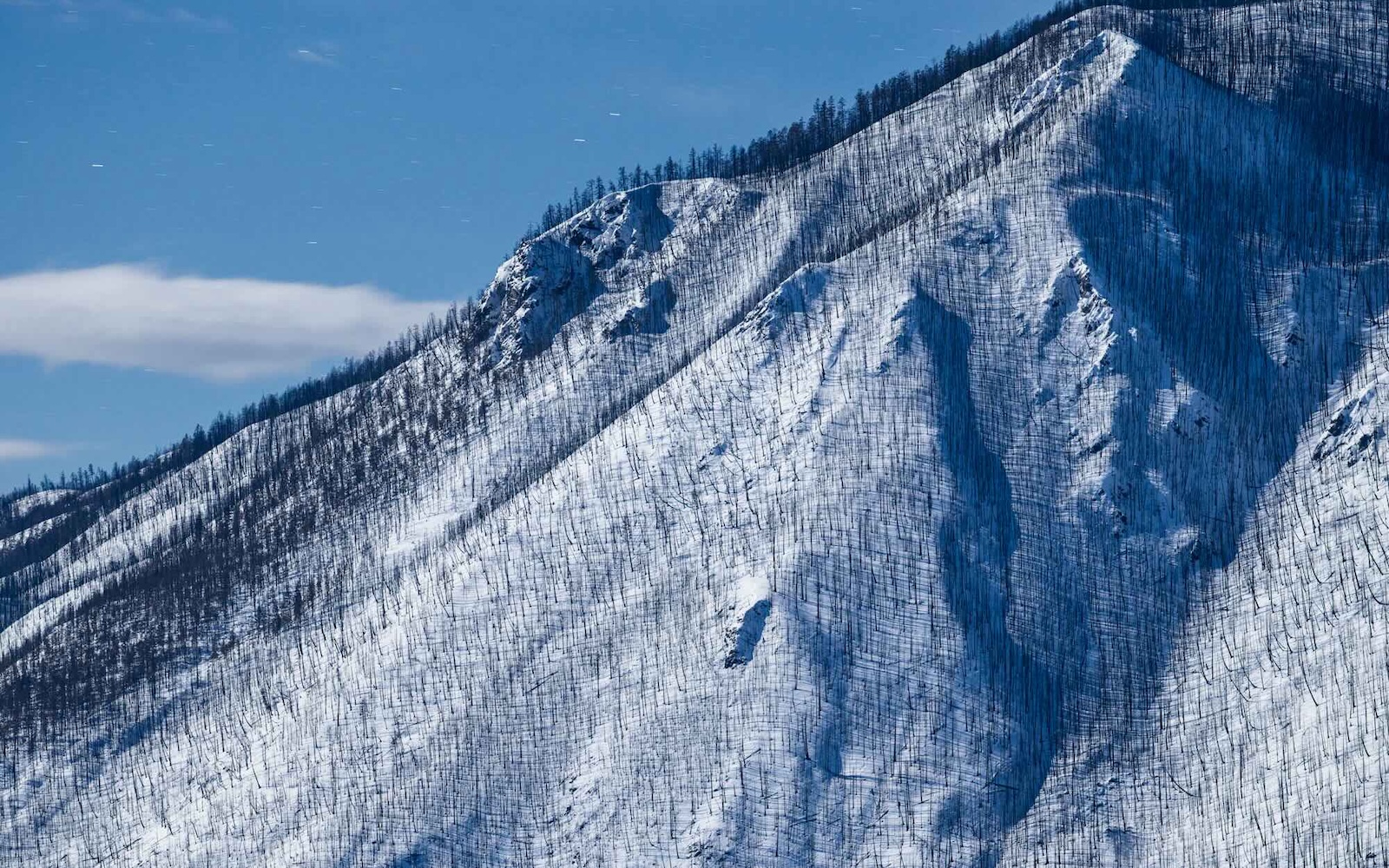 A panoramic photograph depicts a snowy mountainside against a blue sky flecked with thin, bare trees.