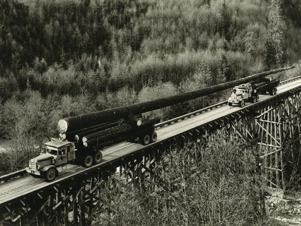 Two logging trucks carry a single, massive log across a road trestle.