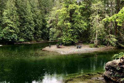 Down a Forgotten River