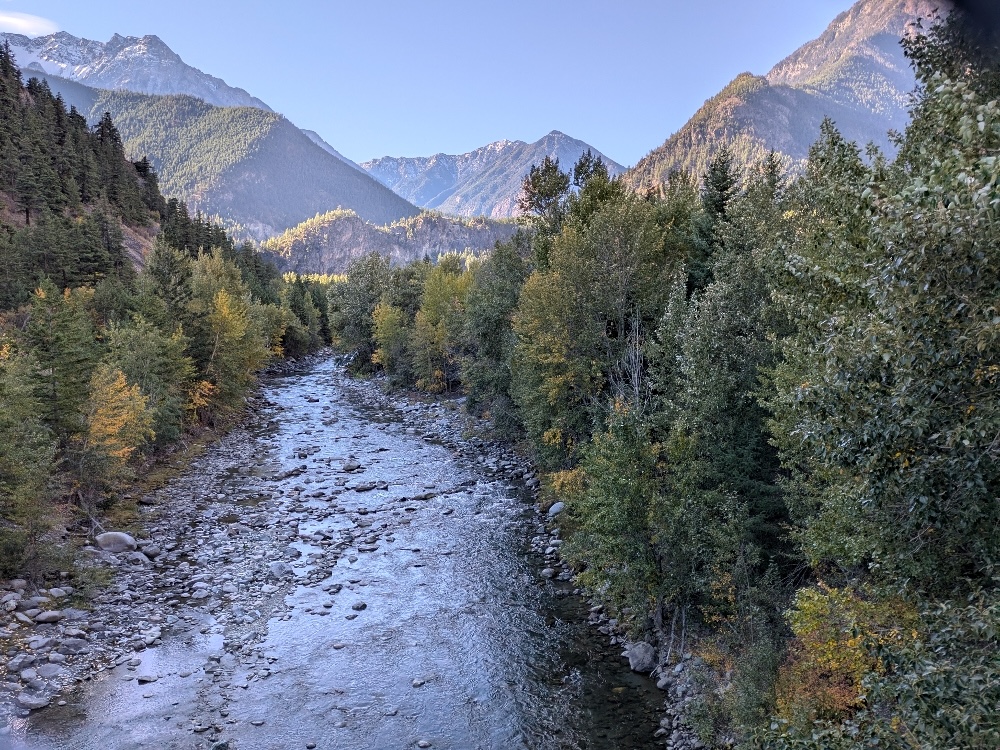 A creek, seen from above, winds through evergreen trees in a mountainous area of British Columbia.