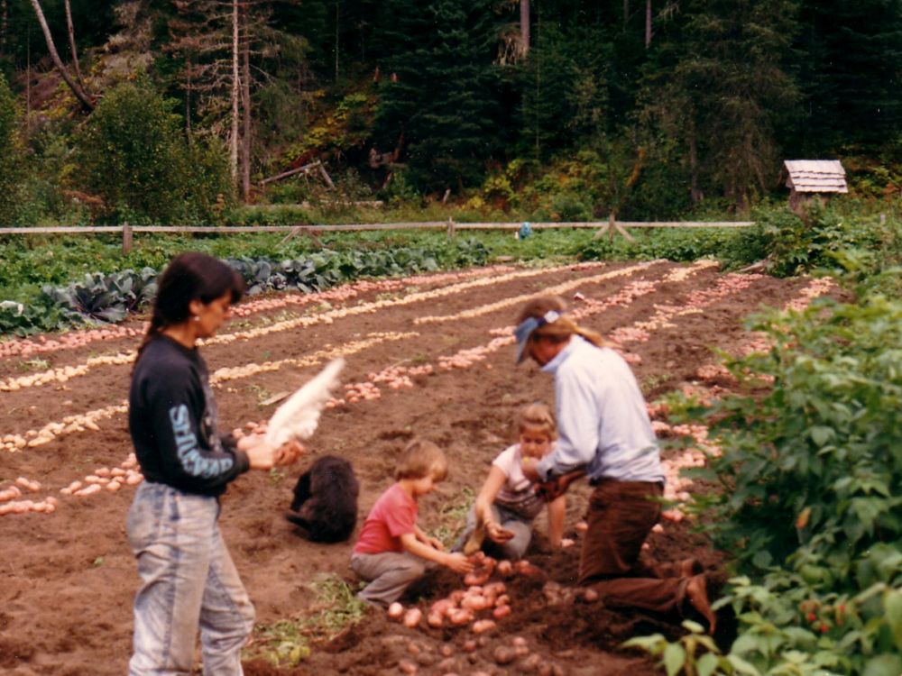 Two kids kneel on the ground plucking potatoes from the soil.