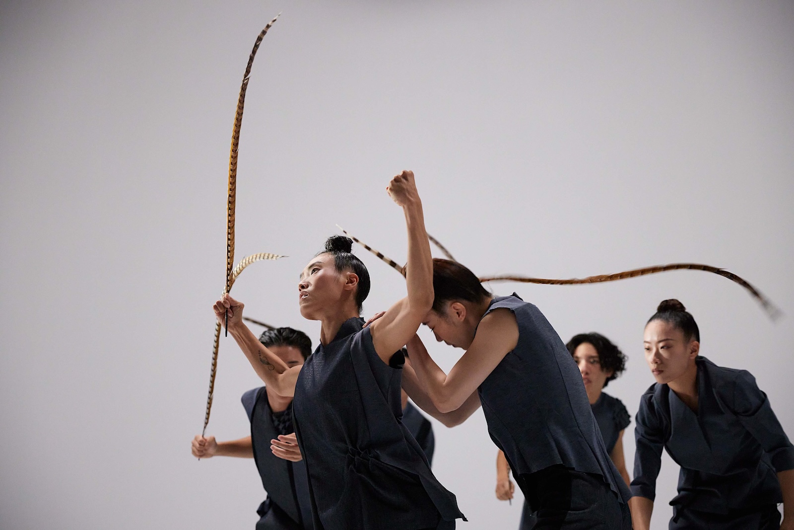 Six dancers in black costumes, some with their black hair in topknots, gather around a dancer with their arms raised near their shoulders, facing the left of the frame. They are holding a long pheasant feather defiantly as their colleagues move around them against a white studio background. 