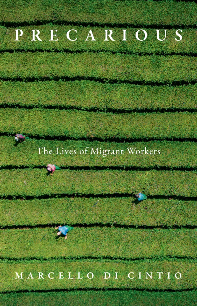 The book cover image for Precarious: The Lives of Migrant Workers features an aerial photo of people working in a green field.