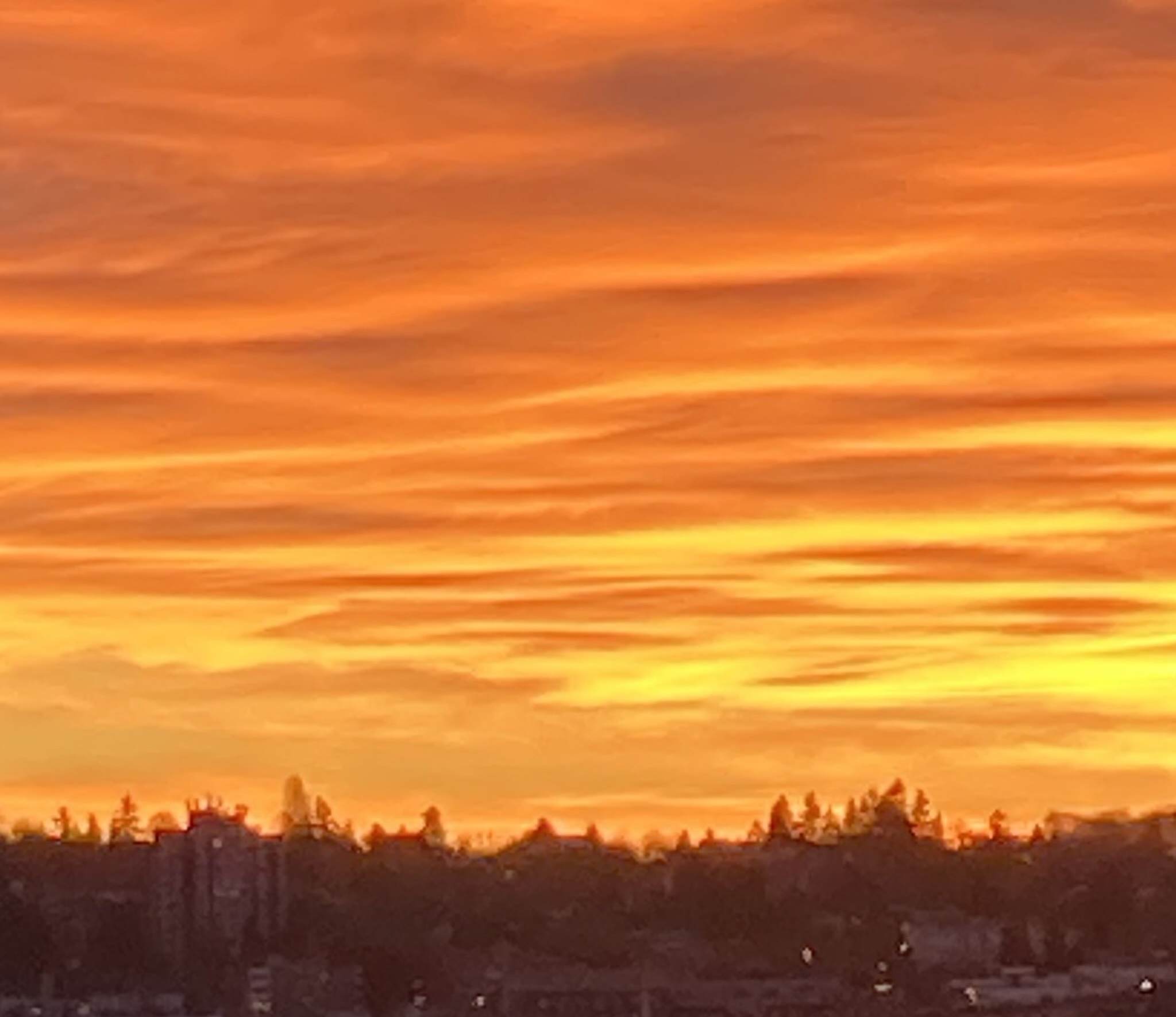 A sky at sunrise is bright orange and yellow. There is a silhouette of an urban treeline below.