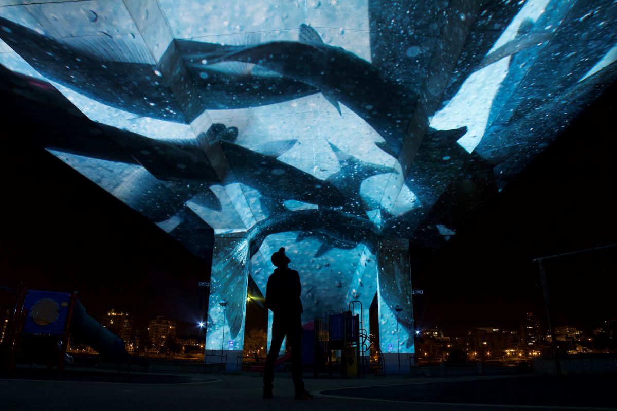 A person looks upwards at the underside of the Cambie Street Bridge, onto which salmon spawning has been projected.
