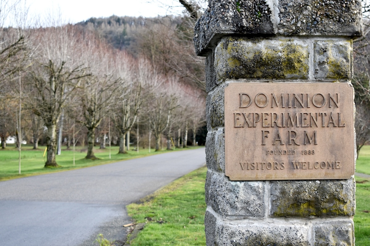 An old plaque on a moss-covered stone pillar stands beside a broad tree-lined driveway.