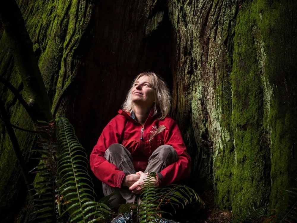 Suzanne Simard sits at the base of a large tree whose thick trunk is covered in green moss. She is surrounded by a small growth of ferns. She sits tucking her knees towards her chest. She wears a red waterproof jacket, grey pants and grey and blue trail shoes.