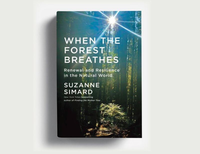 The book cover image for &ldquo;When the Forest Breathes: Renewal and Resilience in the Natural World&rdquo; features white text against a photograph of a stand of trees in a forest with sunlight shining through.