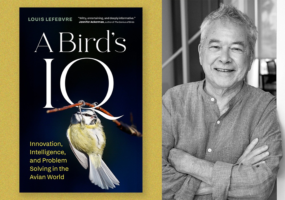 On the left, the cover of A Bird&rsquo;s IQ. On the right, an author picture of Louis Lefebvre, a middle-aged man with light skin tone and greying hair.