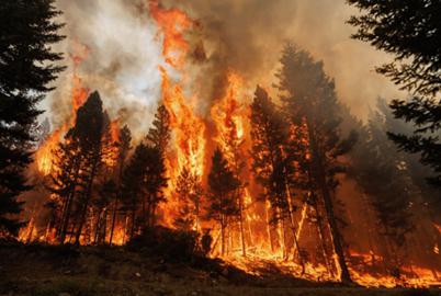 ‘Now the Fire Had Trapped Them’