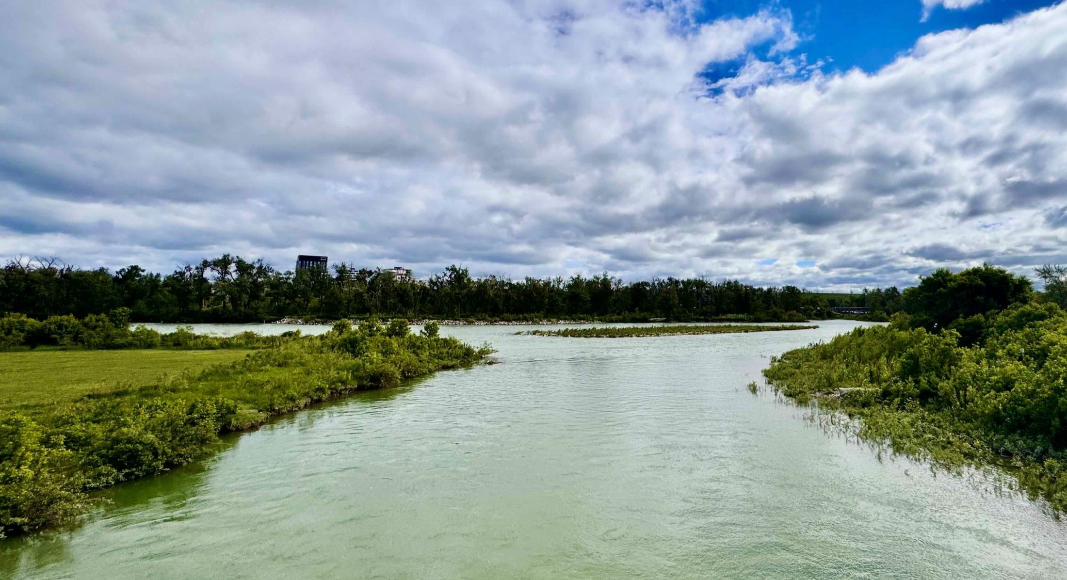 The confluence of the Bow and Elbow rivers in Calgary. A river in the foreground runs in two directions under a blue sky with white clouds. The water is surrounded by low greenery.