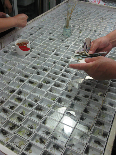 A deal is made for beetles in Shanghai