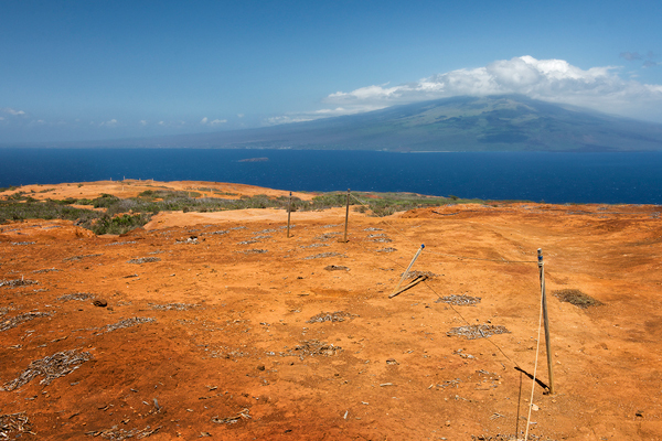 Rewilding Kaho'olawe Island
