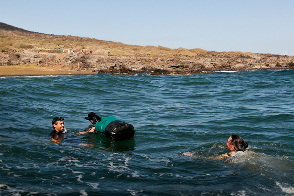 582px version of Rewilding Kaho'olawe Island