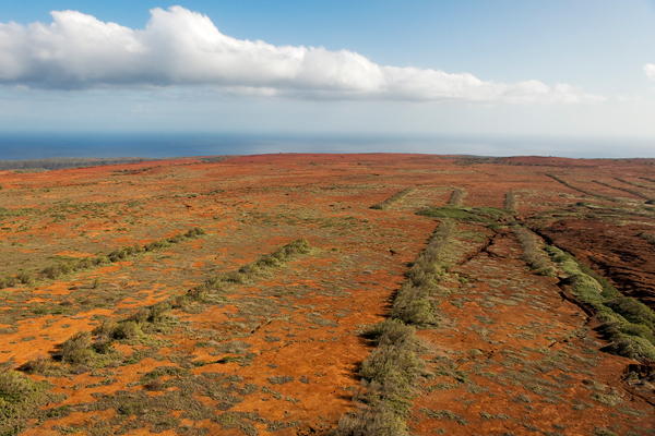 582px version of Rewilding Kaho'olawe Island