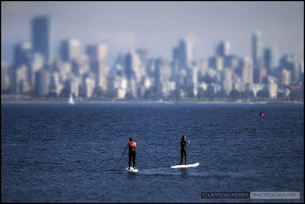 Poleboarders