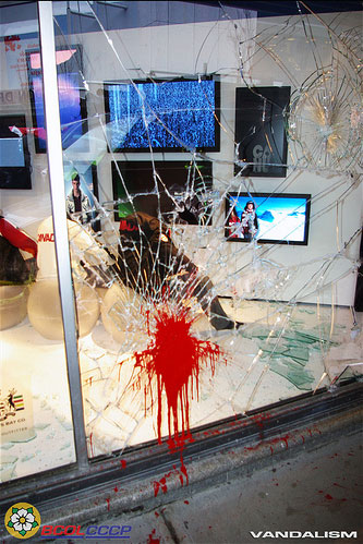 2_protest_window.jpg