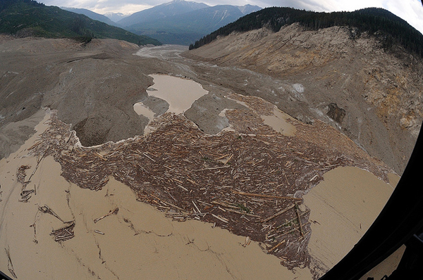 Debris field of Meager Creek landslide