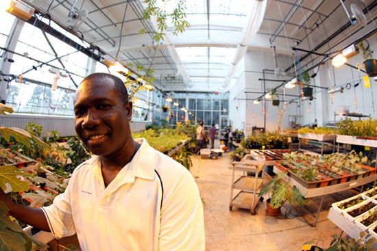 Lord Abbey, greenhouse