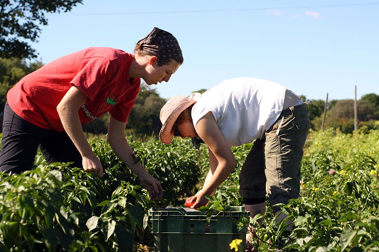 Candace Wormsbecker, Pfennings family farm