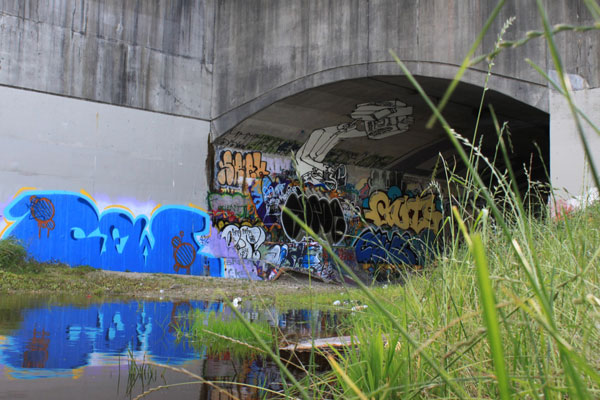 Leeside Skate Park